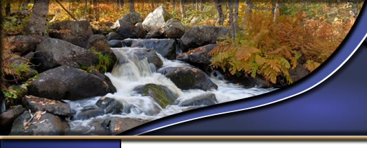 River Gate Estates Alliance